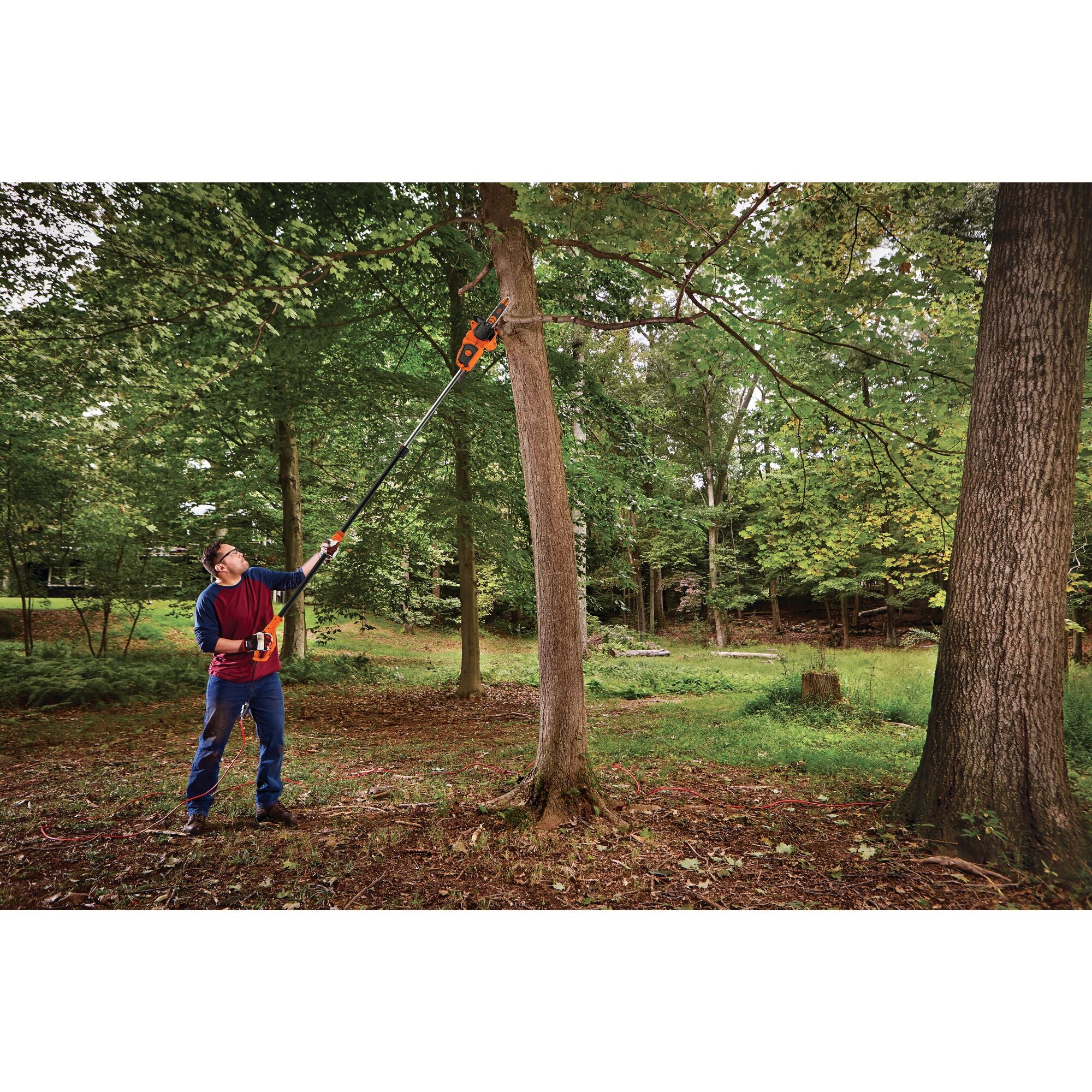 black-decker-8-amp-10-inch-2-in-1-electric-pole-chainsaw image 2