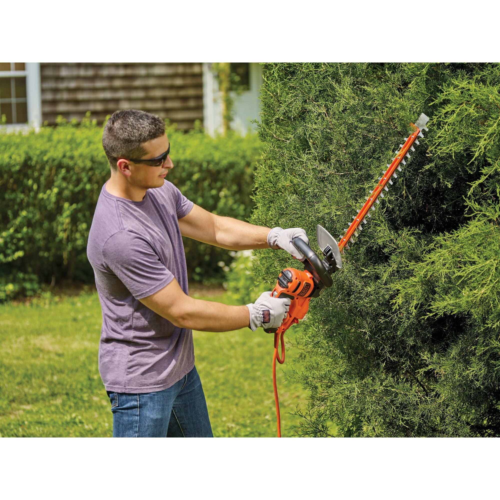 black-decker-20-inch-corded-hedge-trimmer-with-saw image 3