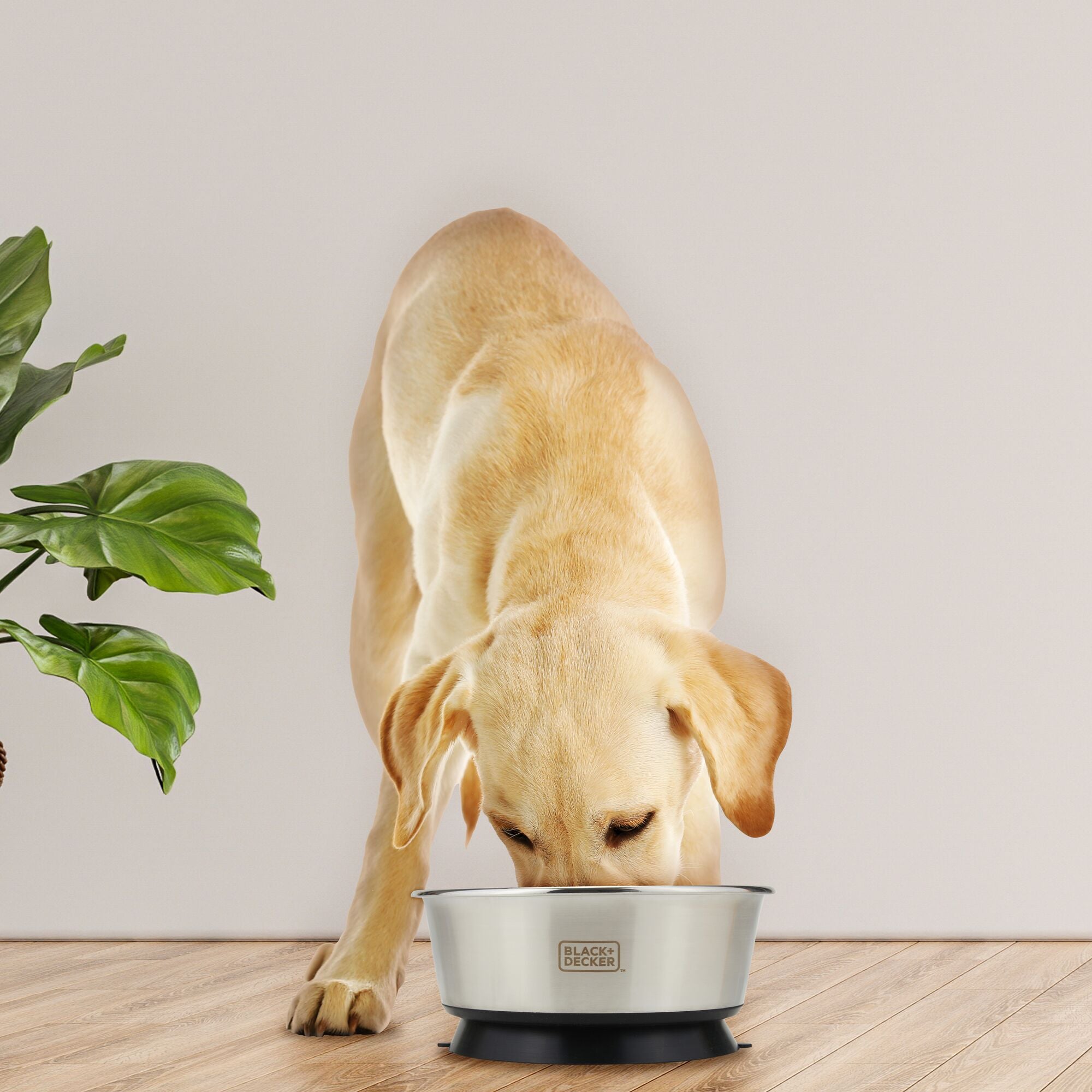 black-decker-suction-cup-pet-bowl-8-26-in-stainless-steel image 2