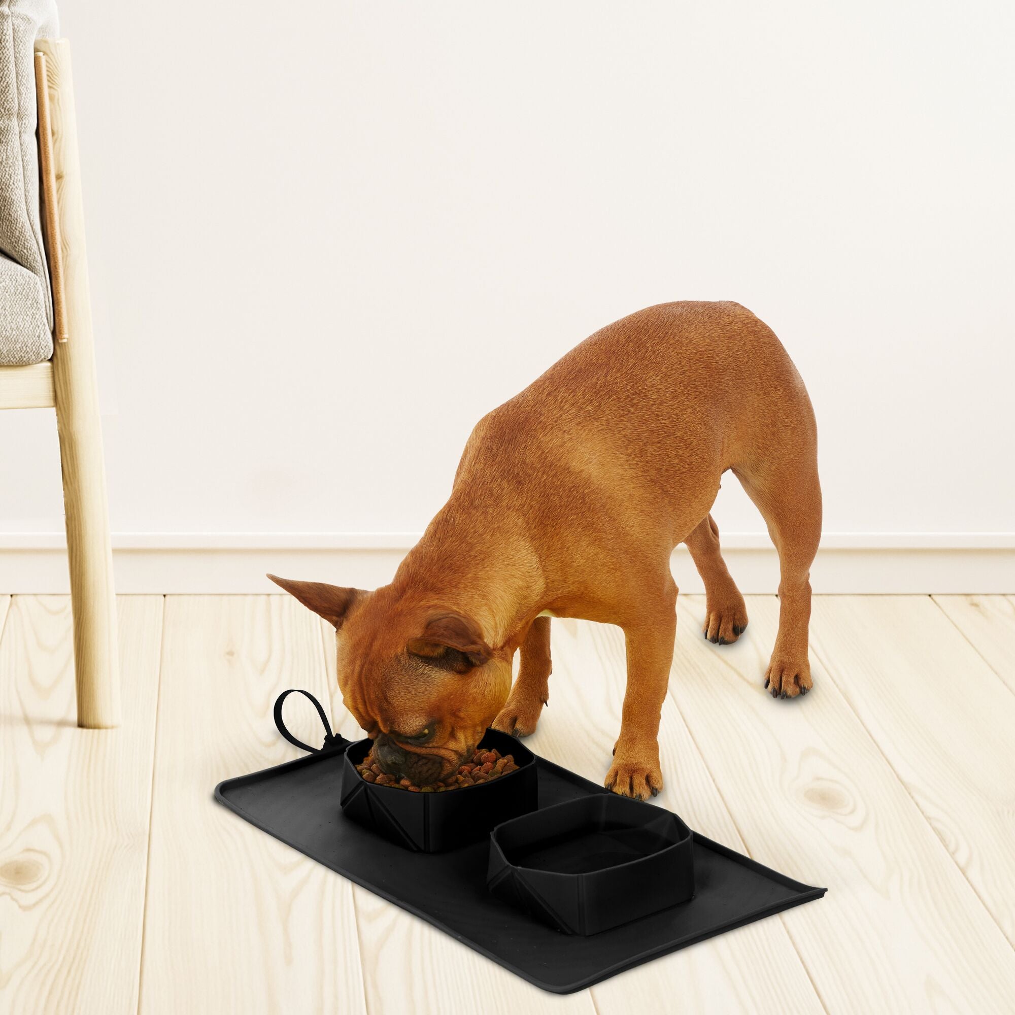 black-decker-double-pet-travel-bowl-2x2-cup-foldable-silicone image 2